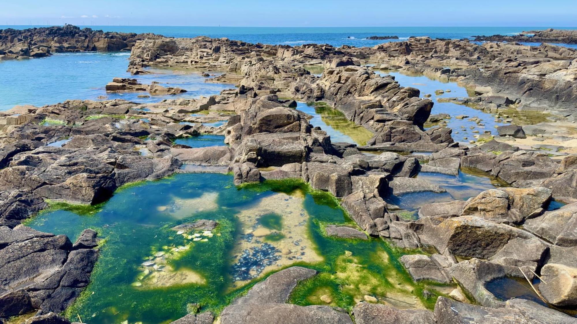 Hotel L'Albatros Le Pouliguen Eksteriør bilde